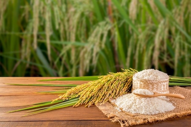اگر هر روز برنج بخوریم چه میشود؟